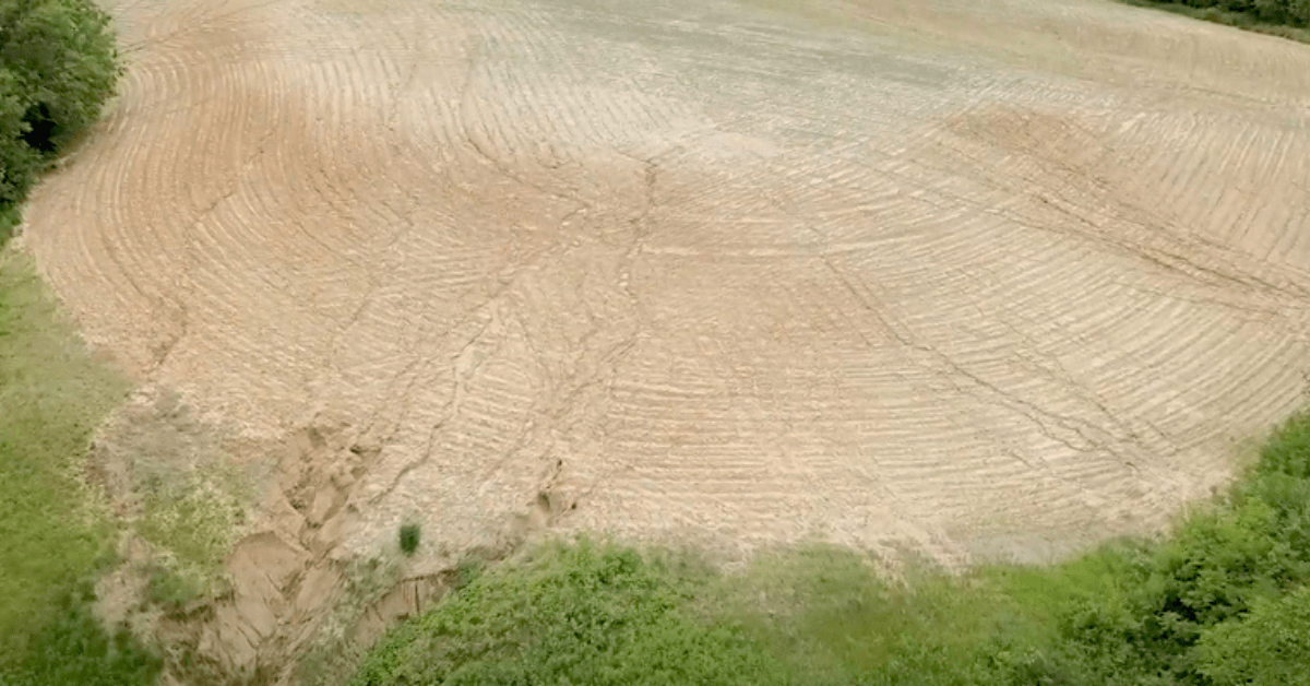 Featured Image for Enroll in CRP and Earn Income on Unproductive Farmland